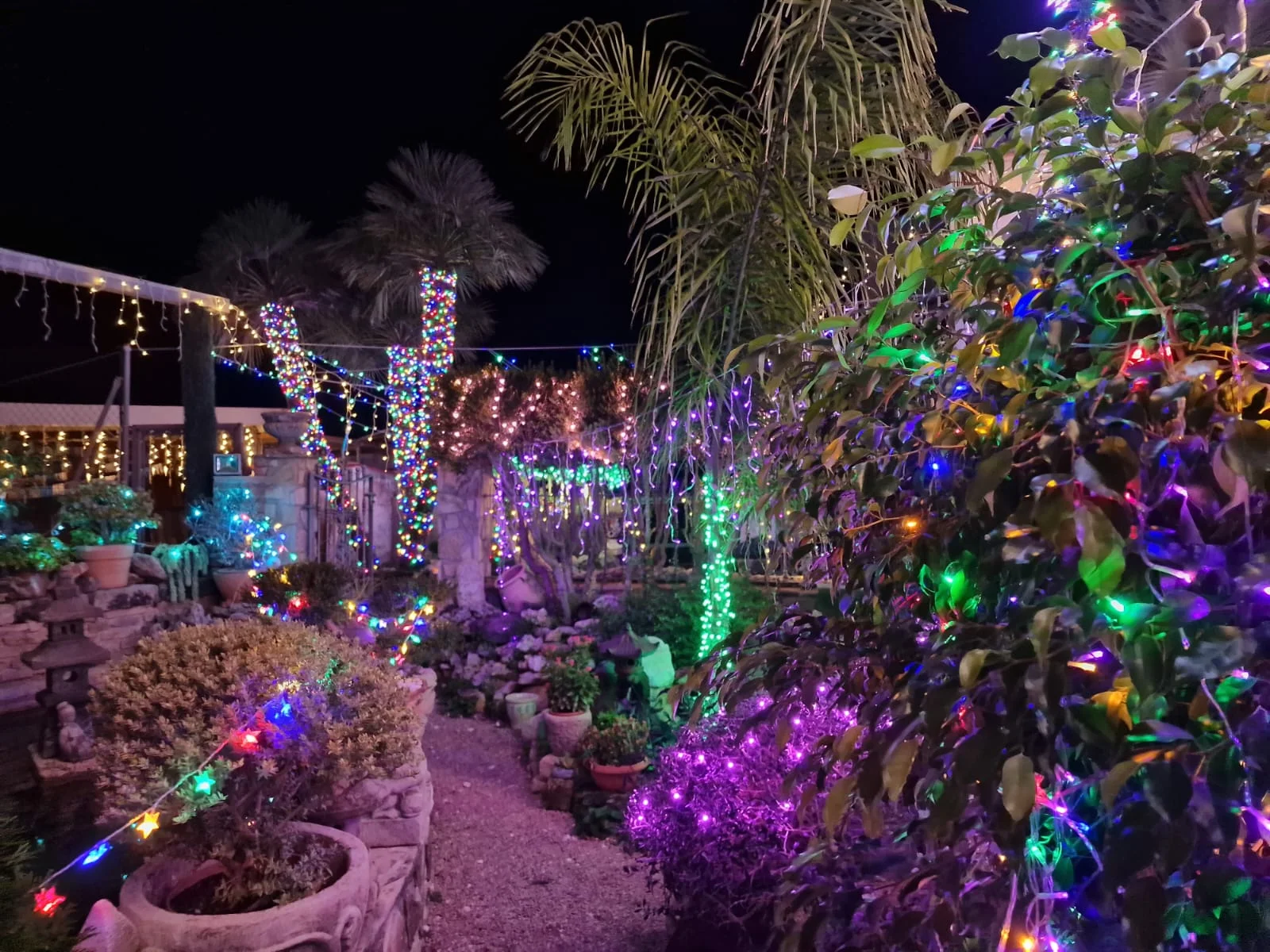 Jardín iluminado por Navidad en casa de Celeste y Marcos
