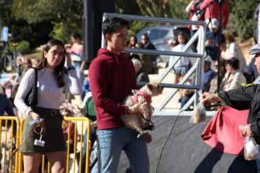 Bendición de animales Sant Antoni 2023 (10)
