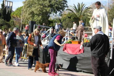 Bendición de animales Sant Antoni 2023 (13)
