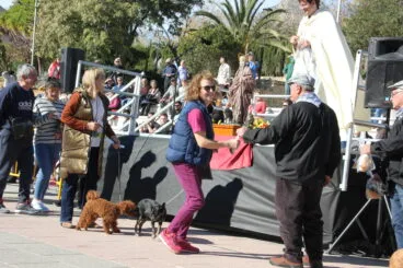 Bendición de animales Sant Antoni 2023 (14)