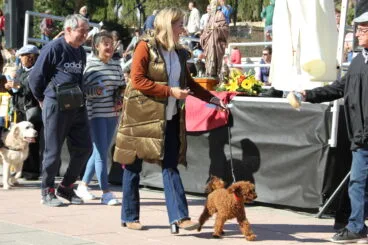 Bendición de animales Sant Antoni 2023 (15)
