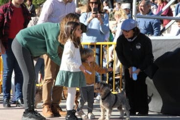 Bendición de animales Sant Antoni 2023 (20)