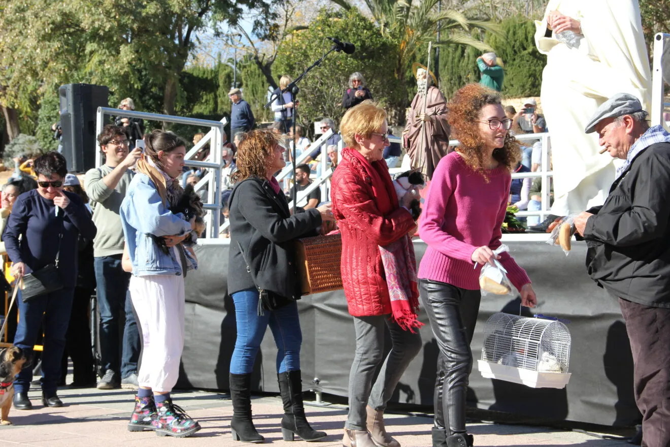 Bendición de animales Sant Antoni 2023 (29)