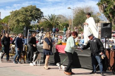 Bendición de animales Sant Antoni 2023 (32)
