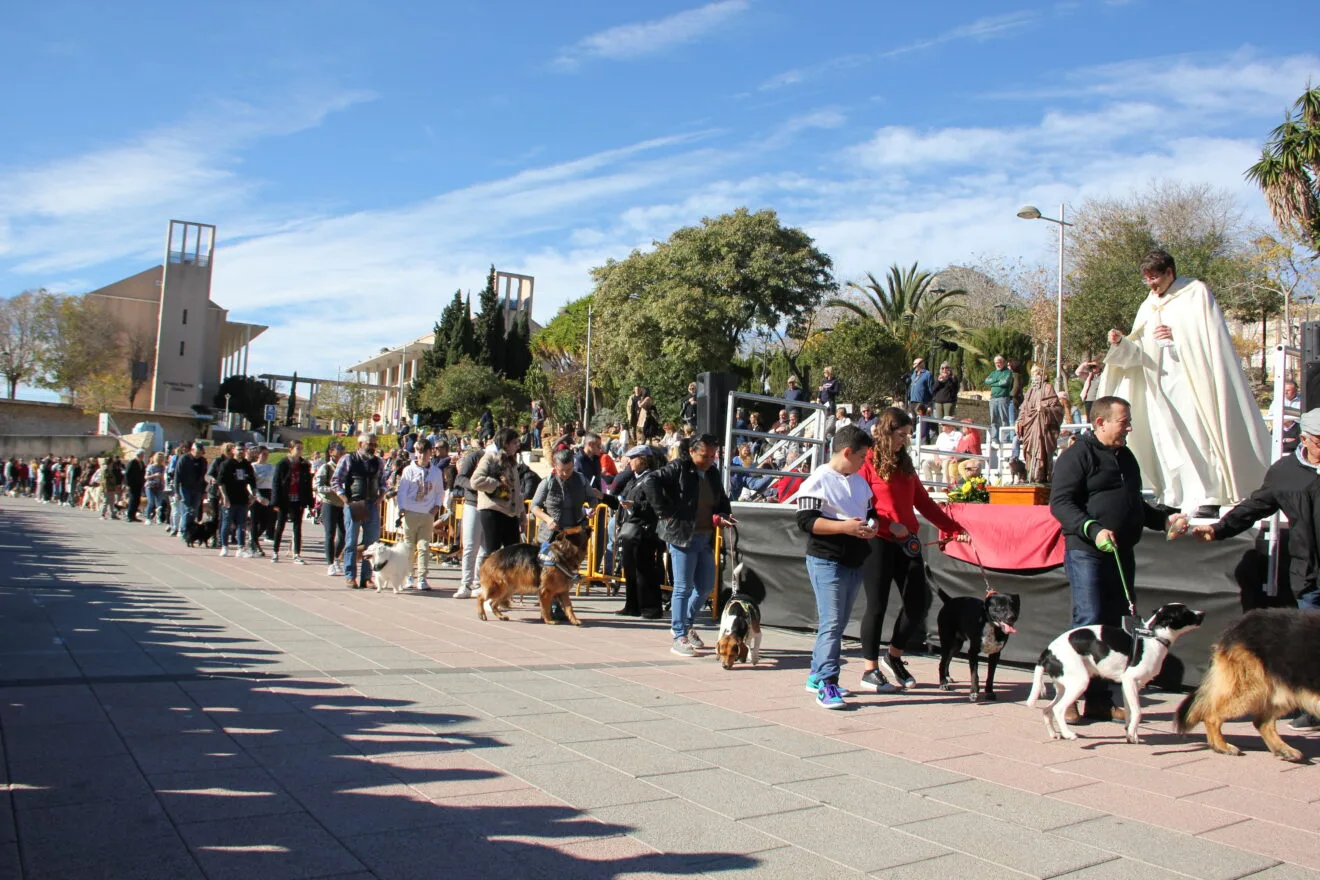 Bendición de animales Sant Antoni 2023 (33)