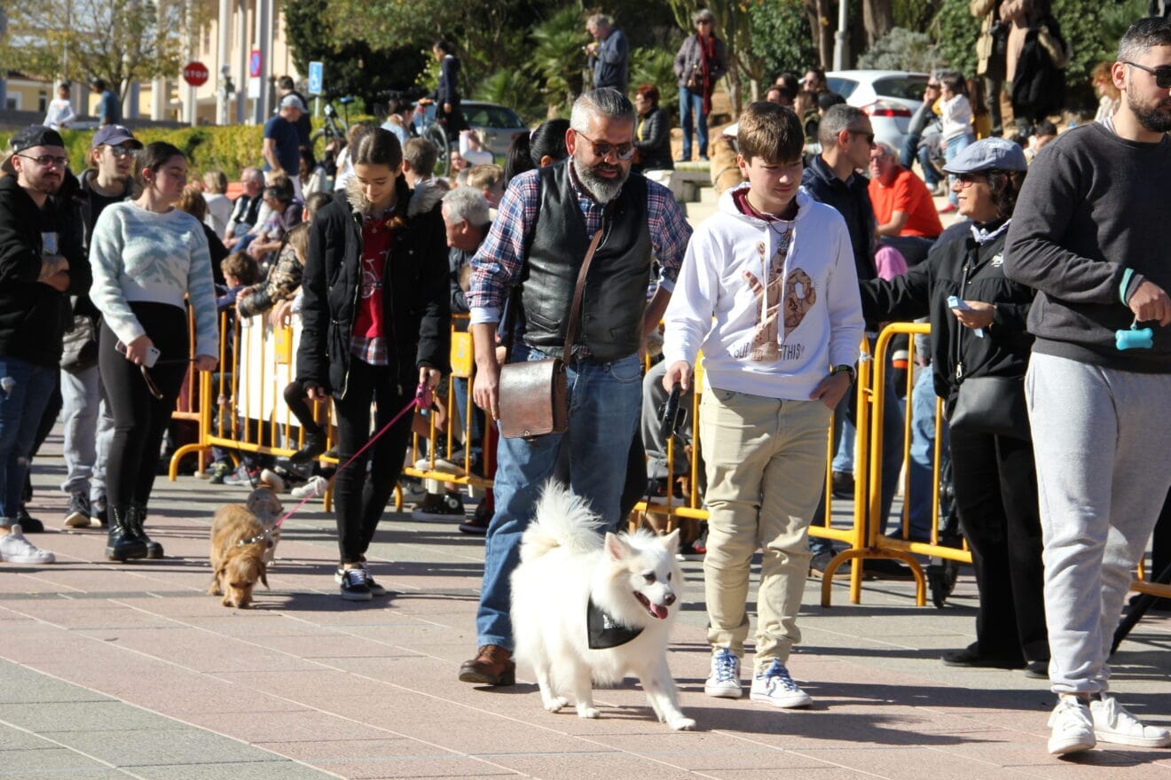 Bendición de animales Sant Antoni 2023 (34)
