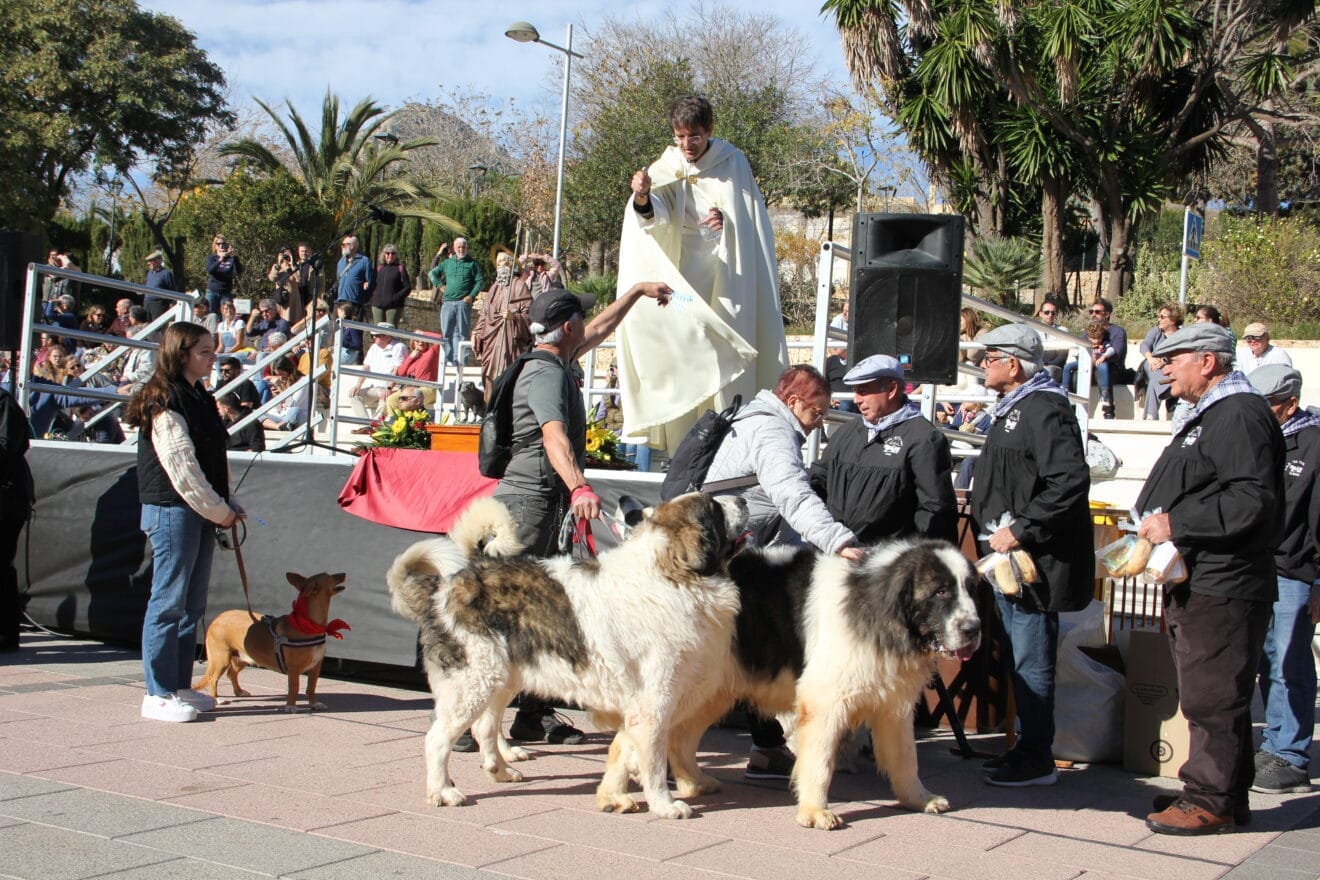 Bendición de animales Sant Antoni 2023 (38)