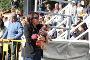 Bendición de animales Sant Antoni 2023 (41)