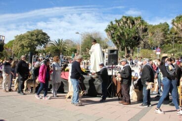 Bendición de animales Sant Antoni 2023 (48)