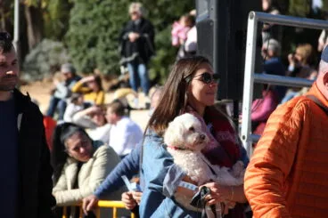 Bendición de animales Sant Antoni 2023 (51)