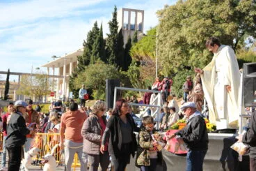 Bendición de animales Sant Antoni 2023 (8)