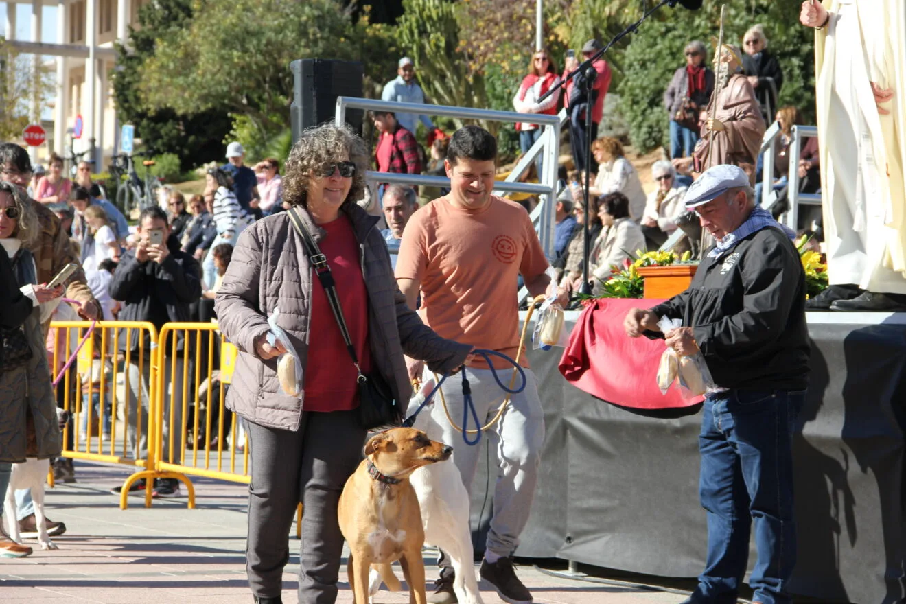 Bendición de animales Sant Antoni 2023 (9)