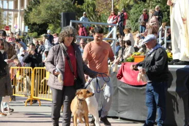 Bendición de animales Sant Antoni 2023 (9)