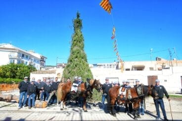 Club El Tiraset junto al pino que se quemará como simbolo de las fiestas de Sant Antoni