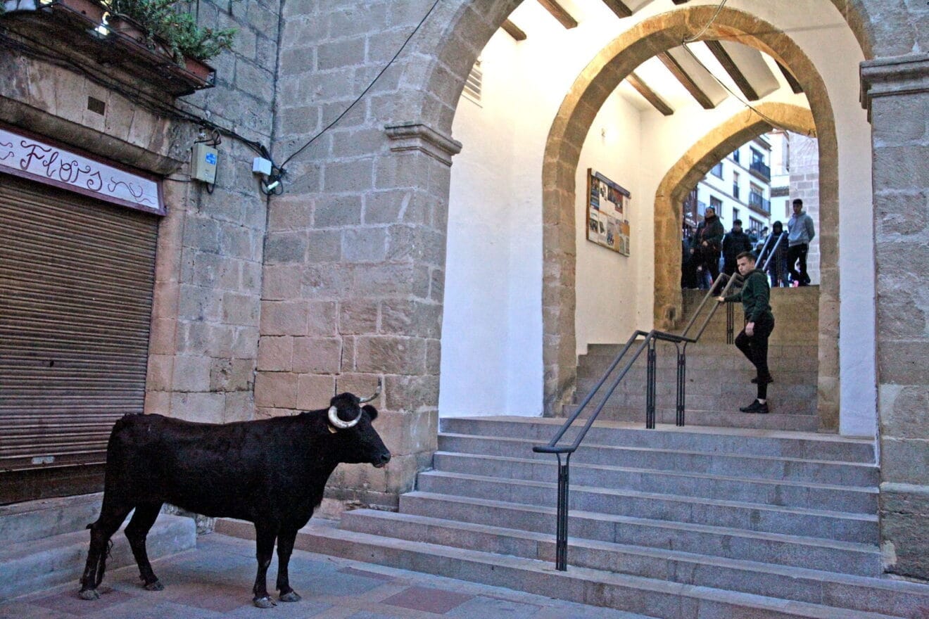 Primera sesión taurina de las fiestas de Sant Sebastià 2023 Xàbia (17)