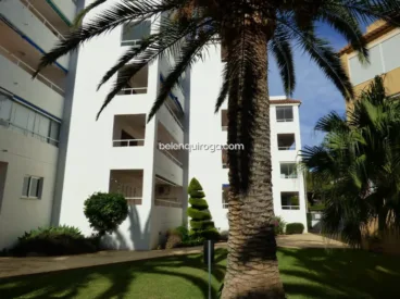 Jardín con palmera Montañar II