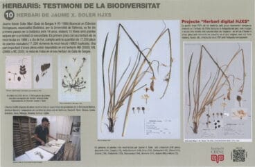 Paneles informativos de la exposición ‘Herbaris,  testimoni de la biodiversitat’ (10)