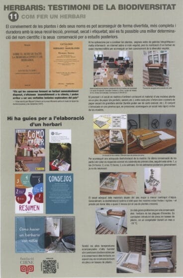 Paneles informativos de la exposición ‘Herbaris,  testimoni de la biodiversitat’ (11)