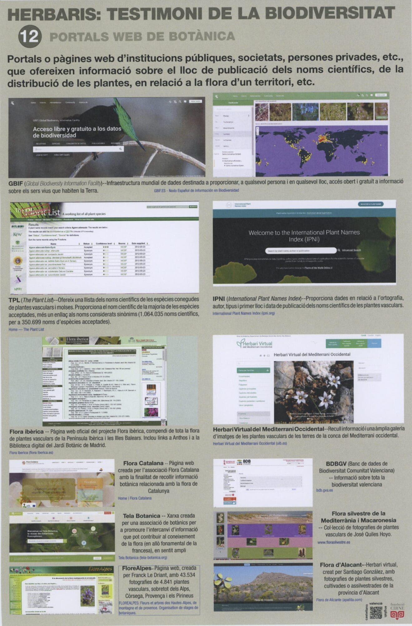 Paneles informativos de la exposición 'Herbaris,  testimoni de la biodiversitat' (12)