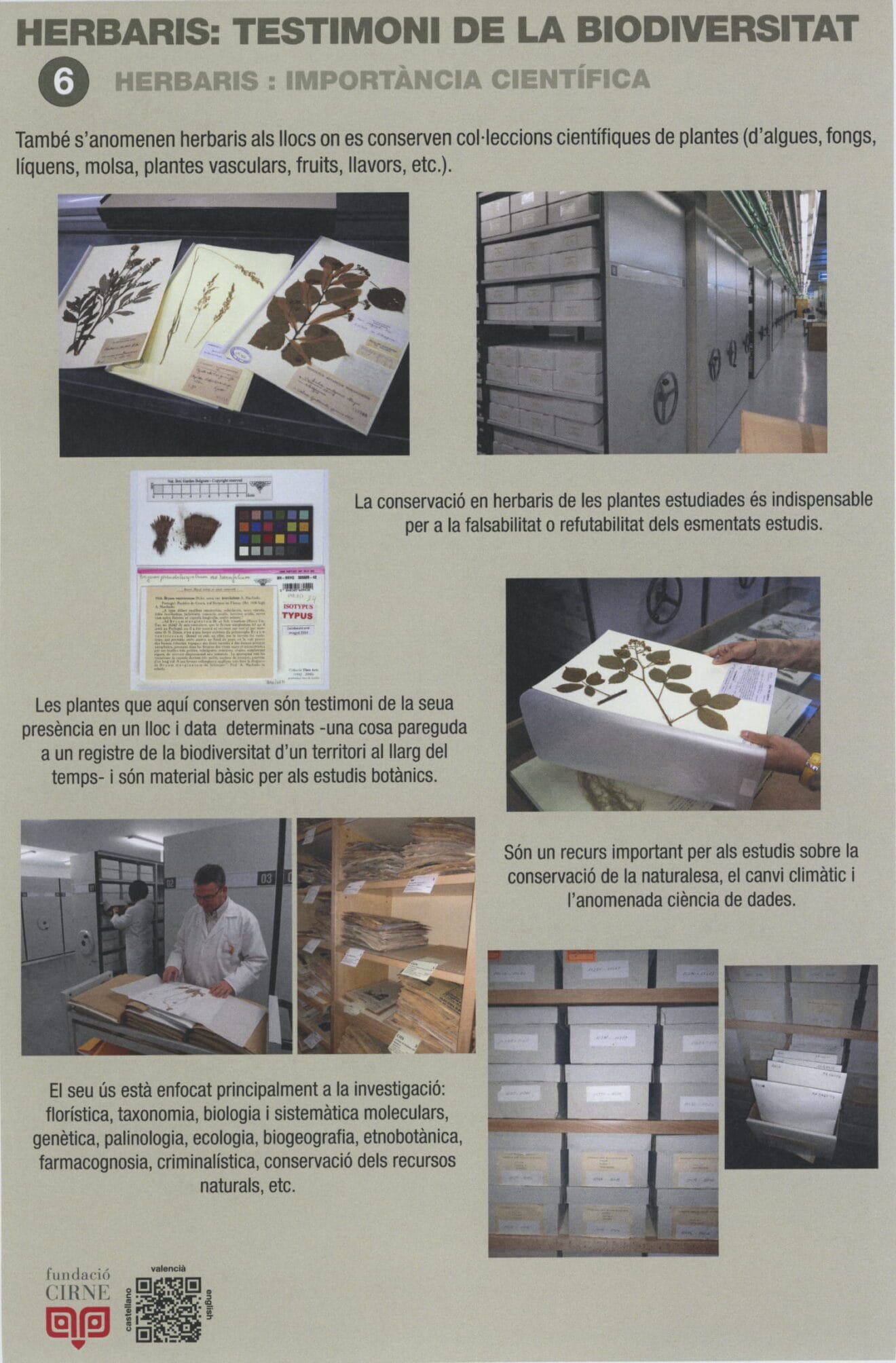 Paneles informativos de la exposición 'Herbaris,  testimoni de la biodiversitat' (6)