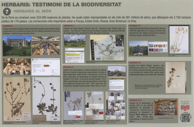 Paneles informativos de la exposición 'Herbaris,  testimoni de la biodiversitat' (7)