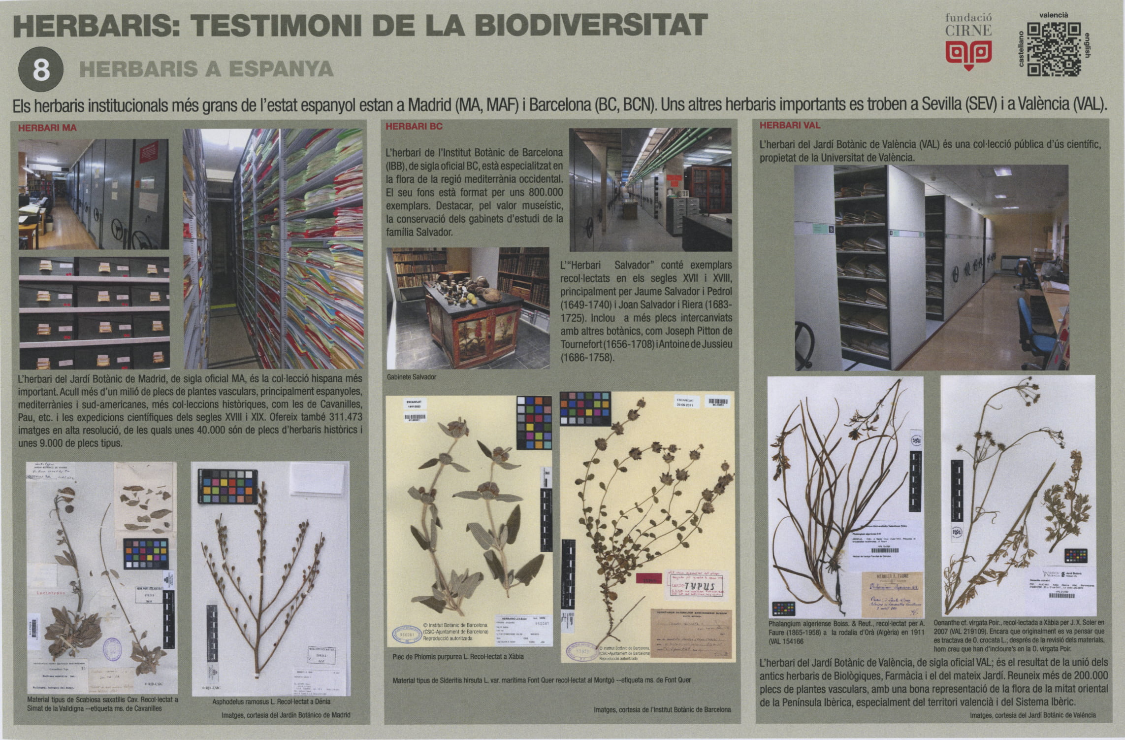 Paneles informativos de la exposición ‘Herbaris,  testimoni de la biodiversitat’ (8)