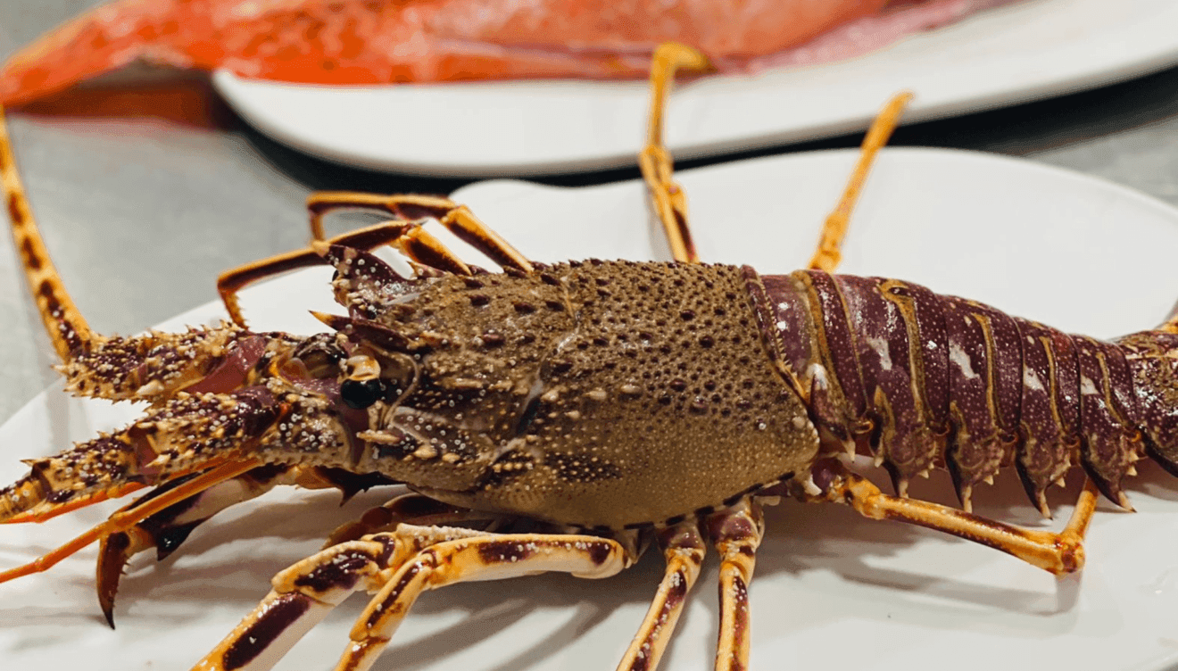 Pescado en La Perla de Jávea