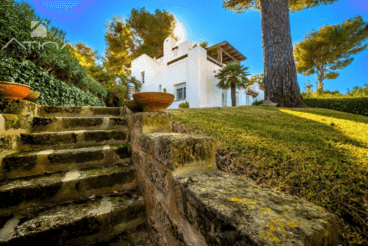 Jardín de doble altura de la vivienda