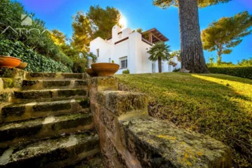 Jardín de doble altura de la vivienda