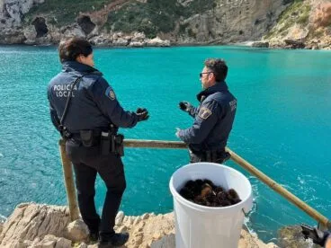 Policía Local con los erizos capturados