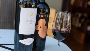 Colección exclusiva de whiskys y brandis de importación