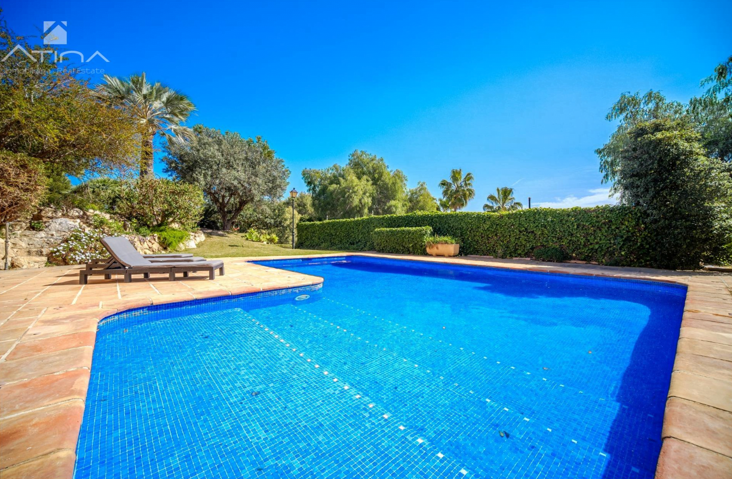 Gran piscina privada con terraza para relajarse en sus tumbonas