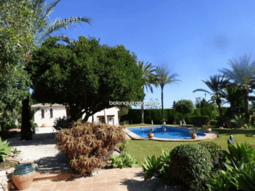 Jardín con piscina muy bien mantenido