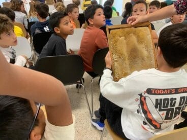 Los alumnos del CEIP Port de Xàbia aprenden sobre las abejas