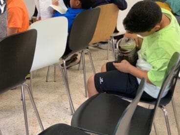 Un alumno investiga sobre los utensilios de la apicultura