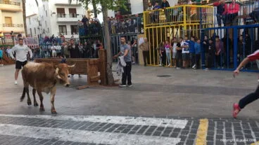 Una sesión de bous al carrer en Xàbia