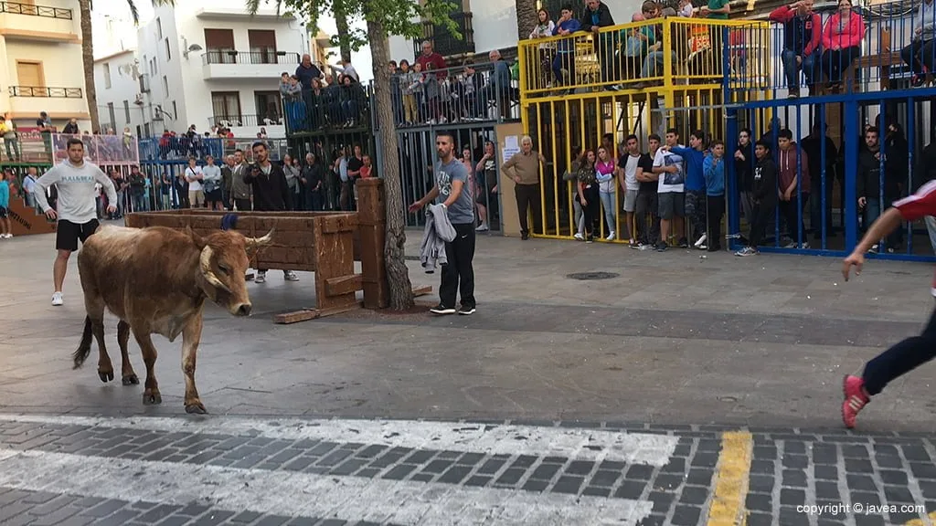 Una sesión de bous al carrer en Xàbia