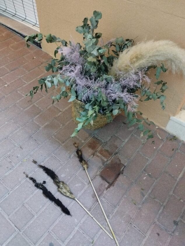 Imagen: Adornos de la arcada quemada