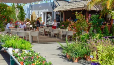 Desayunar en Jávea – Bali Café