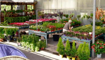 Espacios cuidadosamente diseñados para la naturaleza