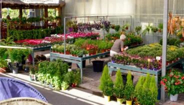 Espacios cuidadosamente diseñados para la naturaleza