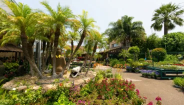Especies ornamentales y vegetación autóctona para el jardín