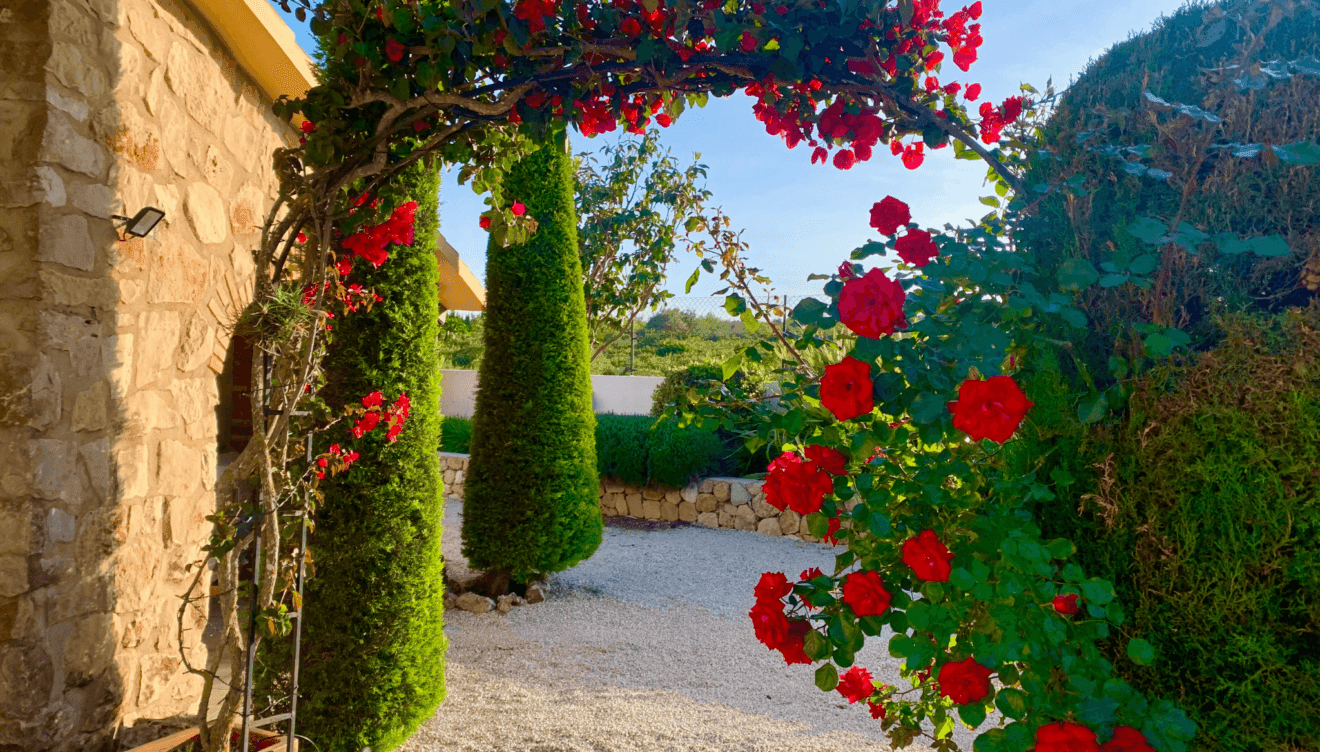 Jardín en el que dar un paseo