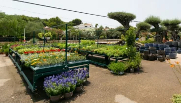 Proyectos de paisajismo profesional a cualquier escala