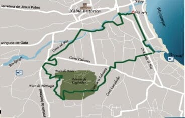Ruta en bici bosque de Capsades