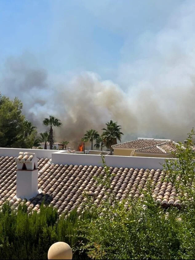 Imagen: Incendio en la zona del Rafalet  | Foto P.T