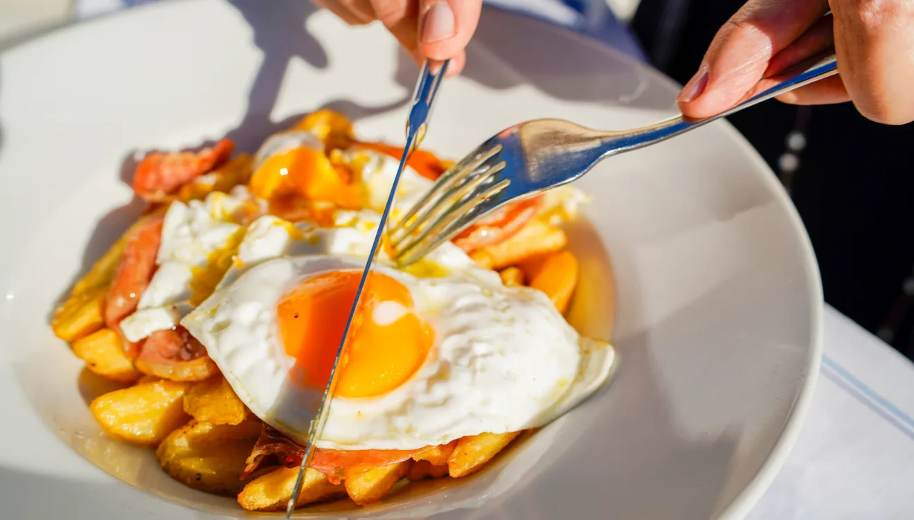 Platos deliciosos en Camping Jávea