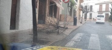 rbol caído en Ronda Norte
