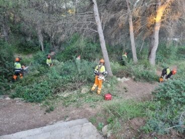 Desbroce y limpieza de parcelas en Xàbia