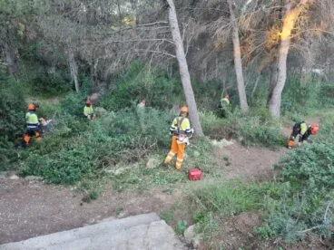 Desbroce y limpieza de parcelas en Xàbia